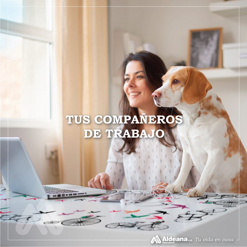 Nos quedamos en casa - Hilandería Aldeana