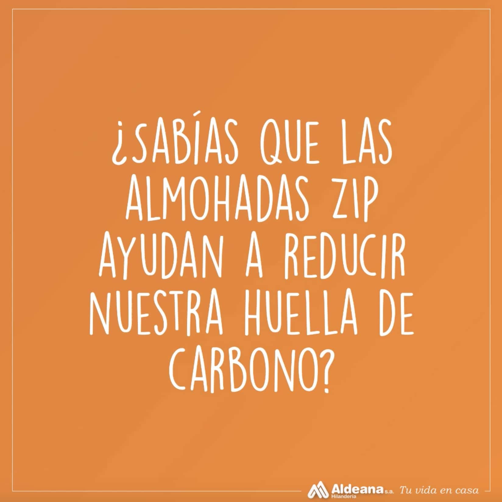 Día Mundial del Medio Ambiente - Grupo Aldeana