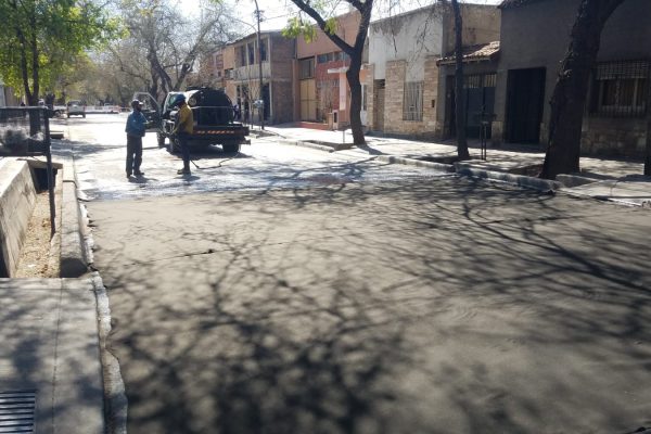 Mendoza Calle - Geotextiles ALDEANA