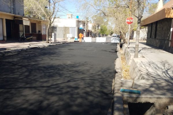 Mendoza Calle - Geotextiles ALDEANA