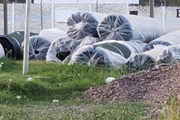 Canchas de Fútbol - Club Comunicaciones - Geotextiles ALDEANA