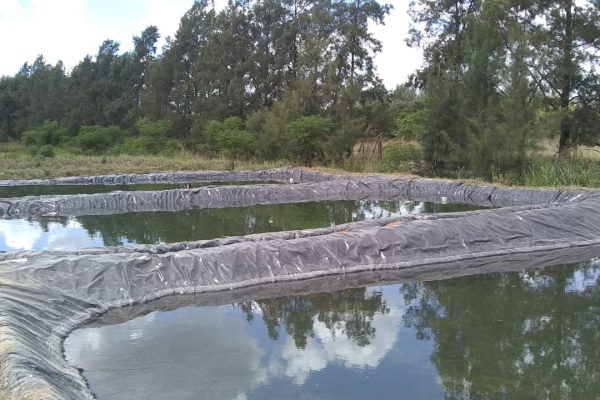 Piletón Criadero - Geotextiles ALDEANA