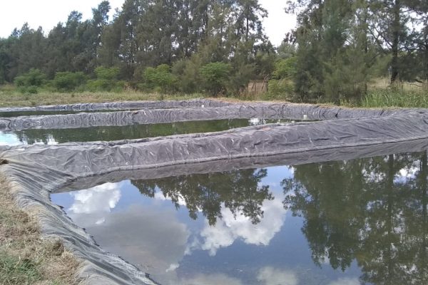 Piletón Criadero - Geotextiles ALDEANA