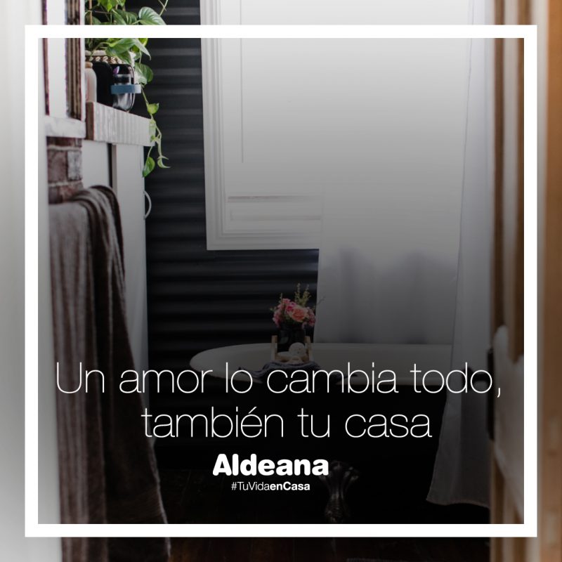 Un amor lo cambia todo - ALDEANA